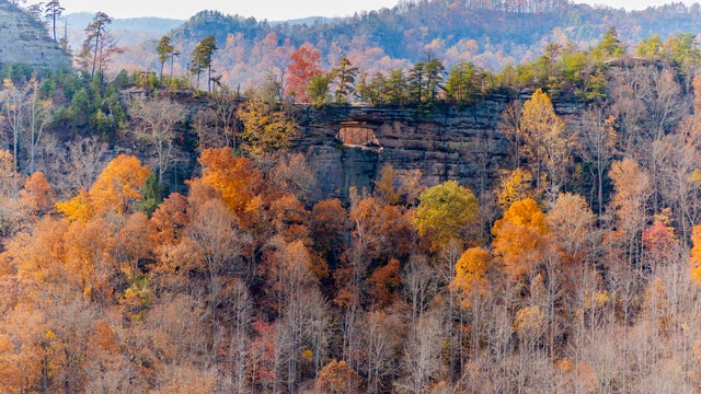 Autumn in Red River Gorge in Kentucky 
