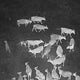 Drones blasting rock music help scare wolves away from cattle 