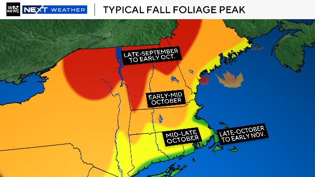 Foliage peak 