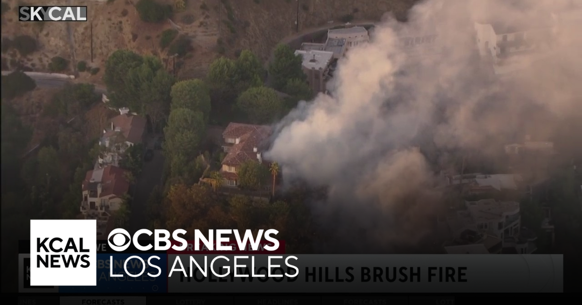 Firefighters quickly handle brush fire burning near Hollywood Hills ...
