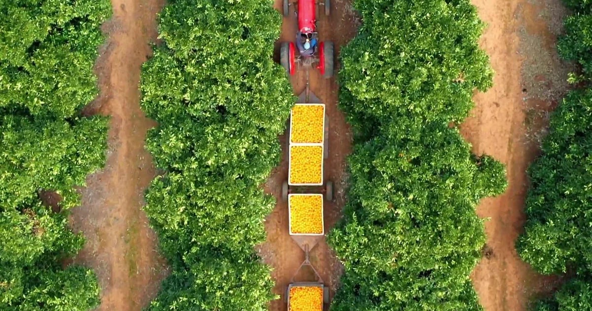 Cooking up something with mushrooms .. Whats in Season with Michael Marks