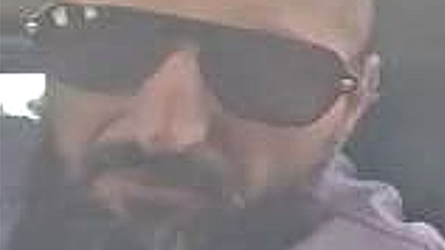 allegedculprit.png 