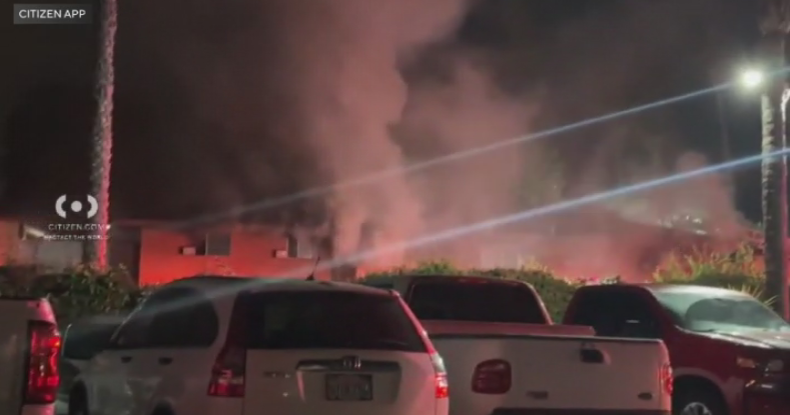 2 bunnies rescued, several residents displaced after apartment fire in ...