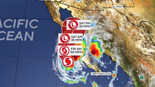 lorena-650a-090325.png 