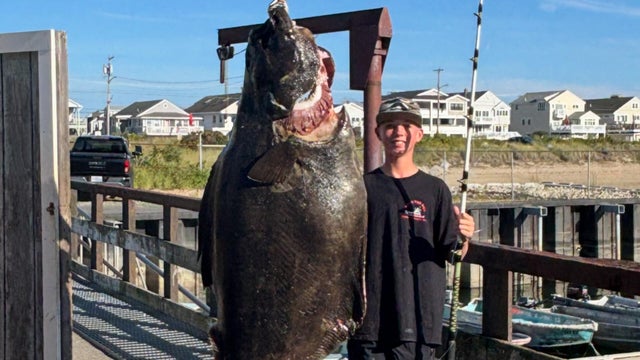 nh-fish-photos-2.jpg 