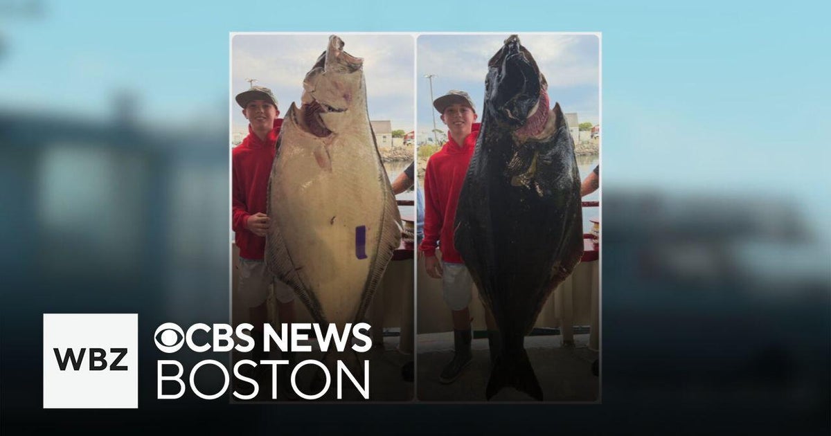 13-year-old New Hampshire boy catches potentially record-breaking halibut