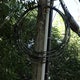 City tree branch falls, knocks out power to Sacramento home. Who's responsible to fix it? 