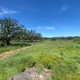 Texas ranch owners raffling off 76-acre ranch for less than a steak 