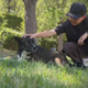Dog who lost owner in deadly South Los Angeles hit-and-run finds new home 