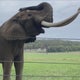 Behind the scenes look at the International Conservation Center 