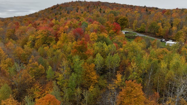 Fall foliage in Vermont 