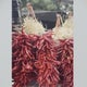 Excitement heating up ahead of Chile Festival in southern Colorado; here's a sneak peek! 