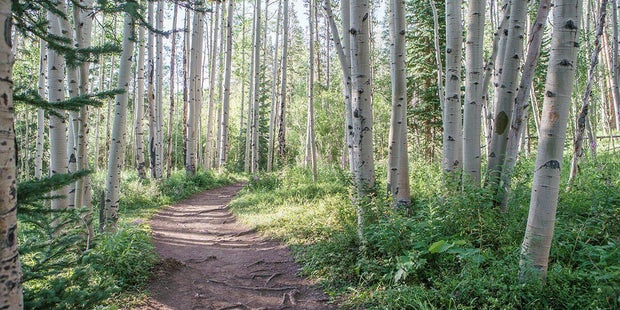 meadow-creek-trail-town-of-frisco.jpg 