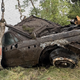 Remains of man who went missing in 1967 found, authorities confirm 