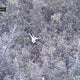 Michigan chopper camera helps find woman lost during YouTube challenge 