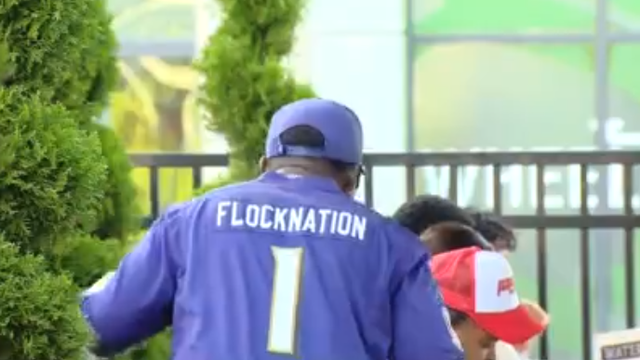 flock1.png 
