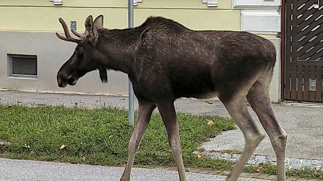 ap25251442060852.jpg 