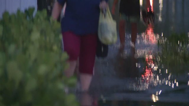 flagami-rain.jpg 