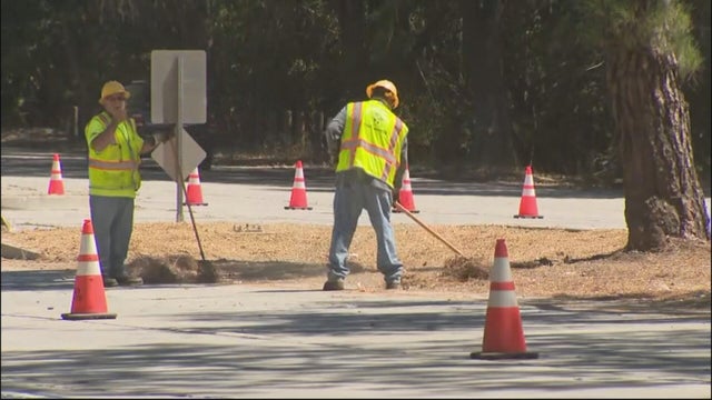 brush-clearance-sepulveda-basin.jpg 
