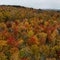 Fall foliage maps show when peak color is expected across the U.S.