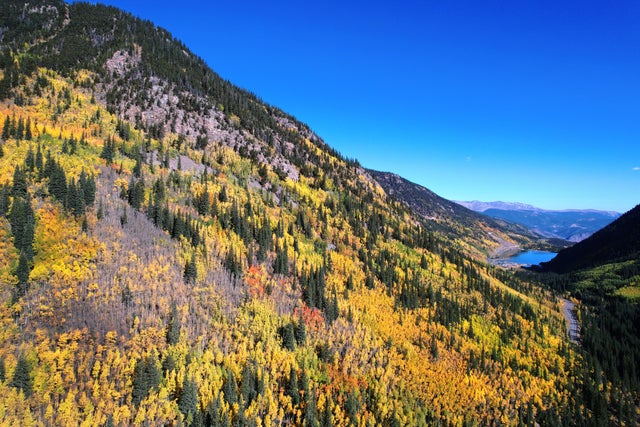 Fall colors, Guanella Pass