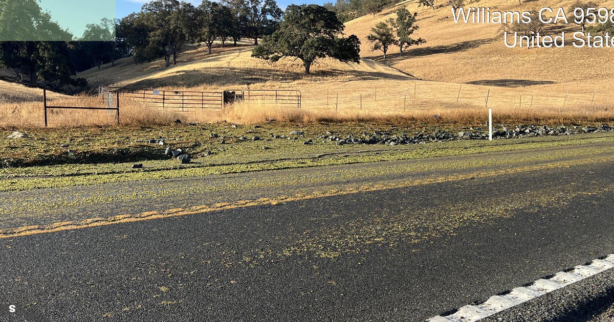 Wine grapes spill onto Colusa County highway after semi-truck crash