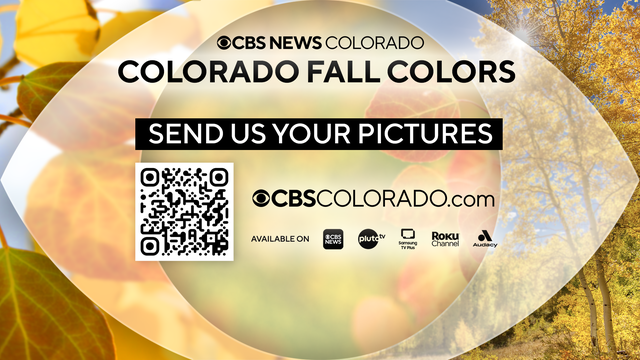 fall-colors.png 