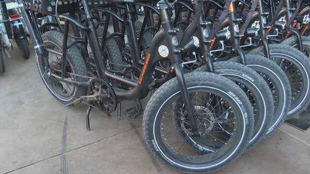e-bikes.jpg 