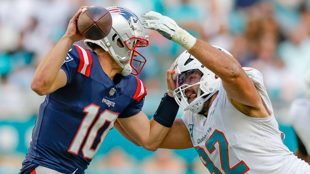pats-dolphins.jpg 