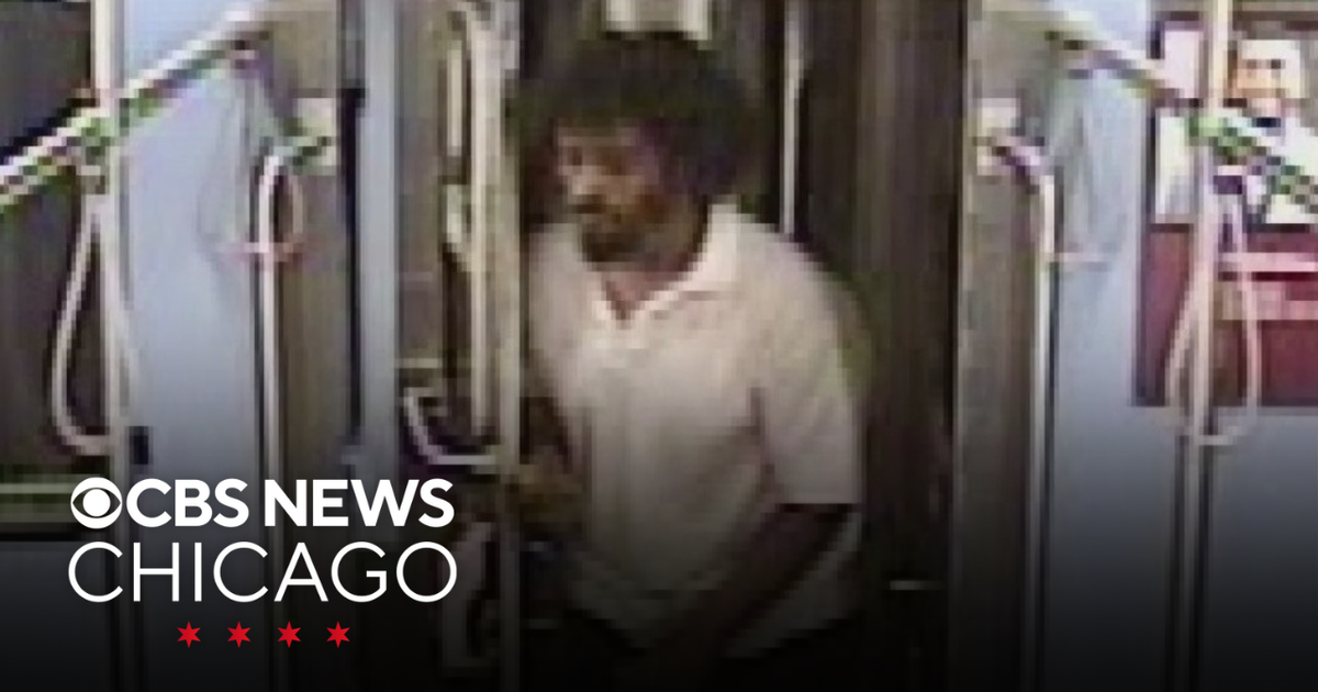 Suspect in attempted sexual assault on CTA Yellow Line train arrested ...