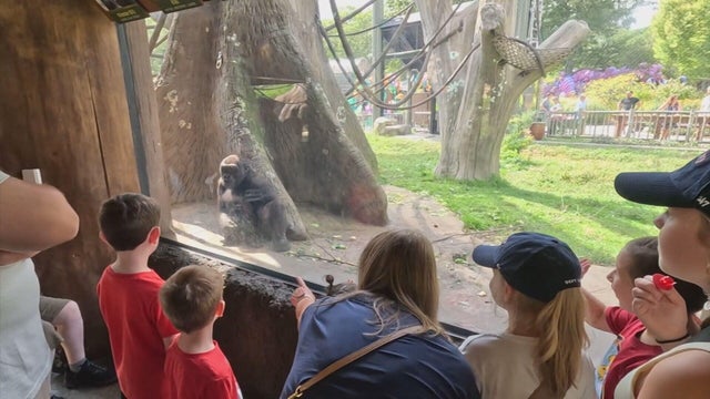 jimmy-fund-festival-630p-sun-pkg-transfer-frame-3018.jpg 
