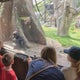 Cancer patients and their families take in Franklin Park Zoo thanks to Jimmy Fund 