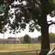 Children robbed in Baltimore park and 18-year-old shot near Inner Harbor over weekend 