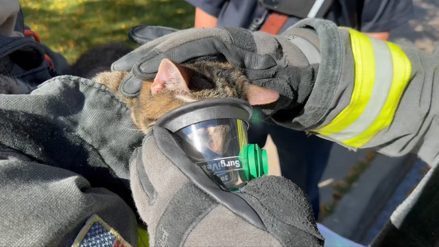 garage-fire-cat-rescue-2-south-metro-fire-rescue.png 