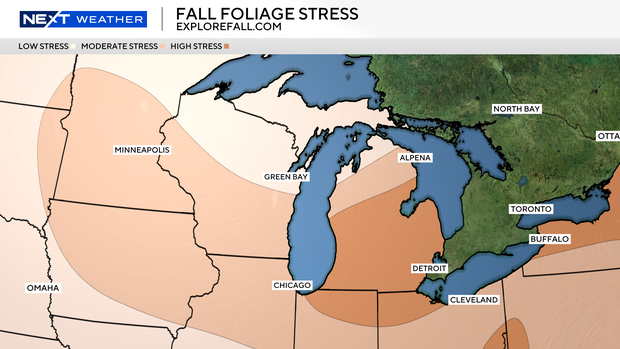 fall-colors-stress.png 
