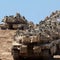 Israel says it has launched ground offensive in Gaza City