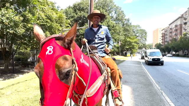 urban-cowboy-2.png 