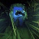 Divers recover artifacts from the Titanic's sister ship for first time 