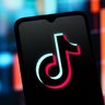 White House shares plan to "save" TikTok, says Beijing is on board 