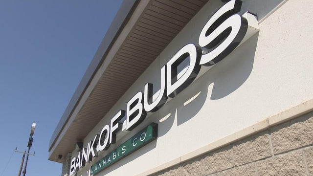 bank-of-buds.jpg 