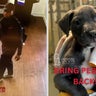 Search on for man caught on video taking puppy from Humane Society of Broward County, authorities say 
