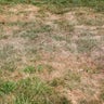 Here's how the drought conditions in the Pittsburgh area can impact you 