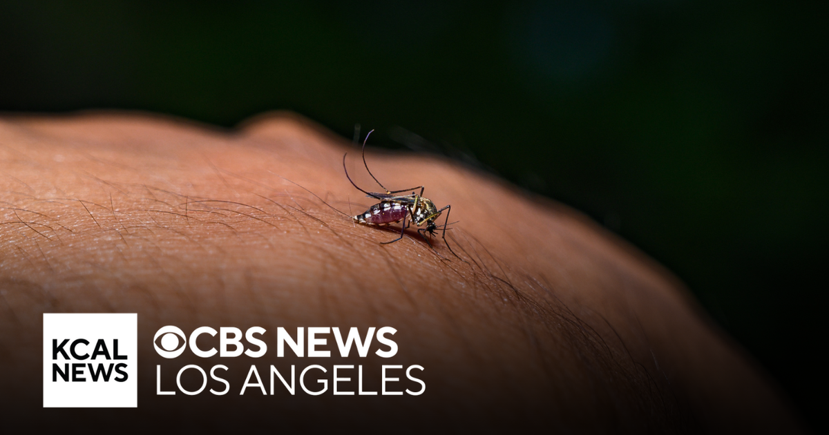 Los Angeles County reports first West Nile virus cases of the year ...