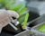 CDC's vaccine advisory panel changes recommendation on combined MMRV shot