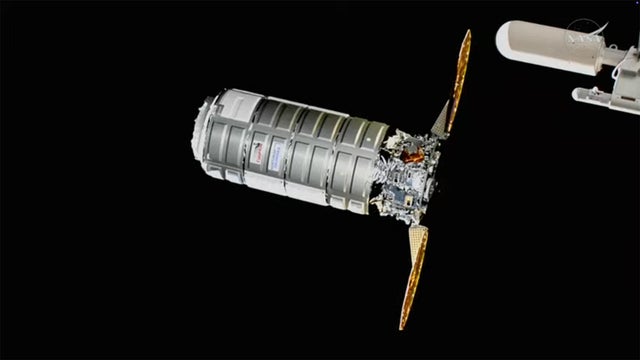 091825-cygnus1.jpg 