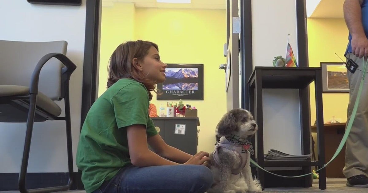 4 therapy dogs bring joy to students at Pittsburgh-area middle school ...