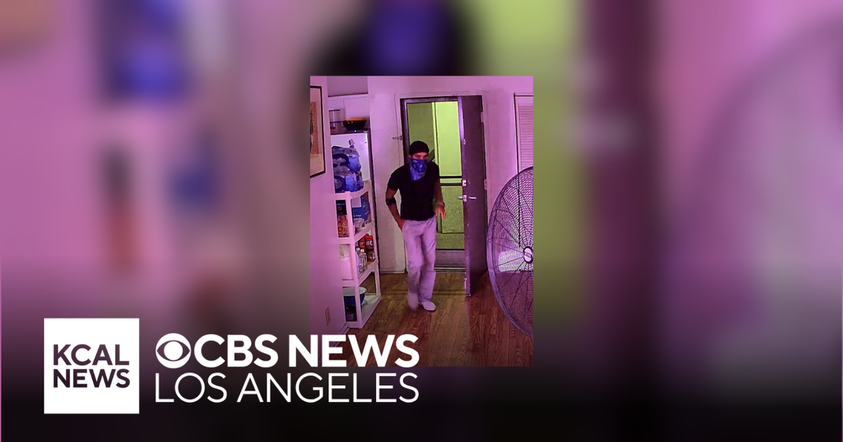 Man Arrested in West Hollywood Dog Killing