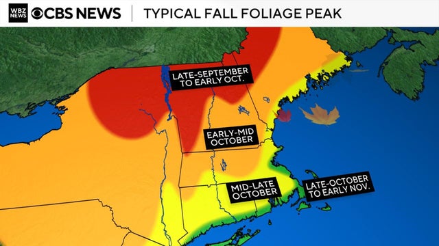 Foliage map 