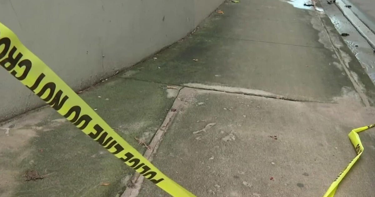 Miami deadly crash victim identified - CBS Miami