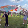 Solar Fest at Montrose Beach advocates for clean energy this "Sun Day" 